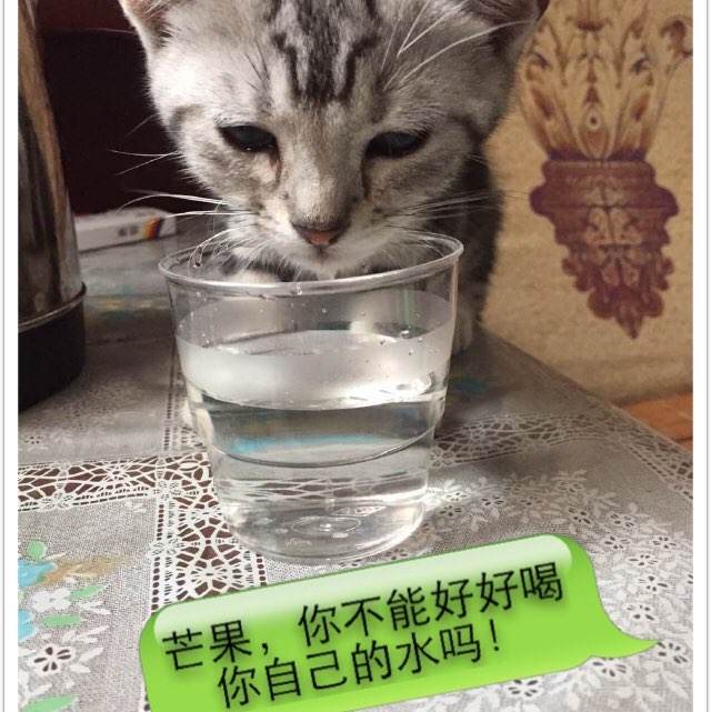 史蒂文斯理工学院市场营销文凭证书
